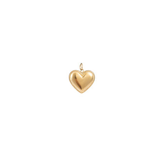 Bedel big heart pendant tbv ketting goud