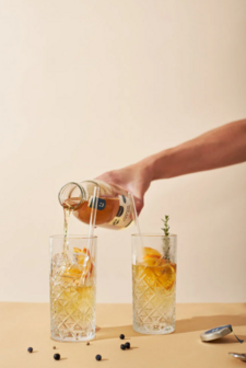 Dutch dry gin - Pineut