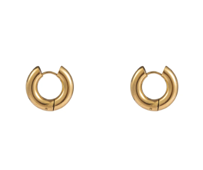 Oorbellen E3993-2 hoop 5x10 mm goud - Day&amp;Eve 