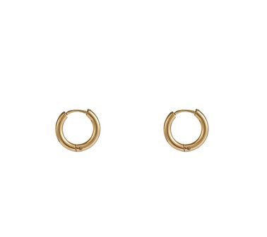 Oorbellen E3978-2 hoop 2,5x10 mm goud -&nbsp;Day&amp;Eve 