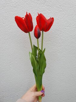 Real touch open tulpen 3x - red