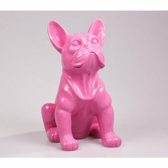 Bulldog roze - Stoobz