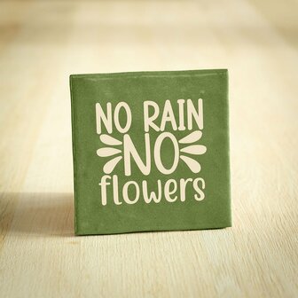 Tegeltje No rain no flowers