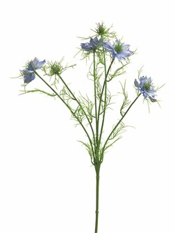 Bloem Nigella Damascena - blauw