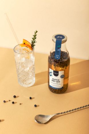 Dutch dry gin - Pineut