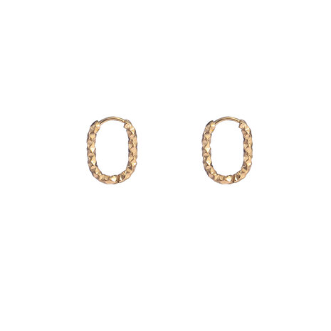 Oorbellen E4323-2 hammerd oval hoop goud- Day&Eve 