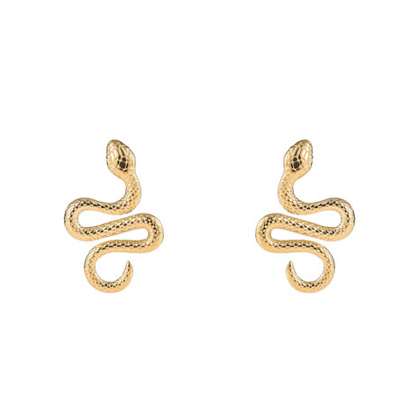 Oorbellen E4861-2 Snake earring goud - Day&Eve 