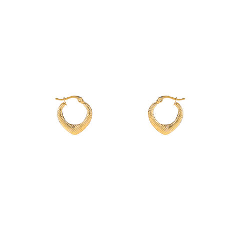 Oorbellen E4887-2 aladdin hoop goud- Day&Eve 