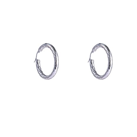 Oorbellen E4470-4-1 hollow hoop 40mm zilver- Day&Eve 