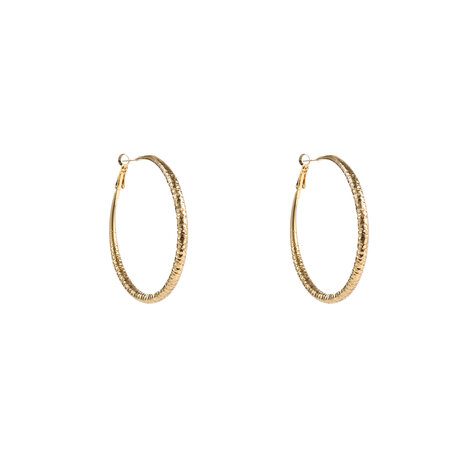 Oorbellen E5065-2 Big hoops goud - Day&Eve